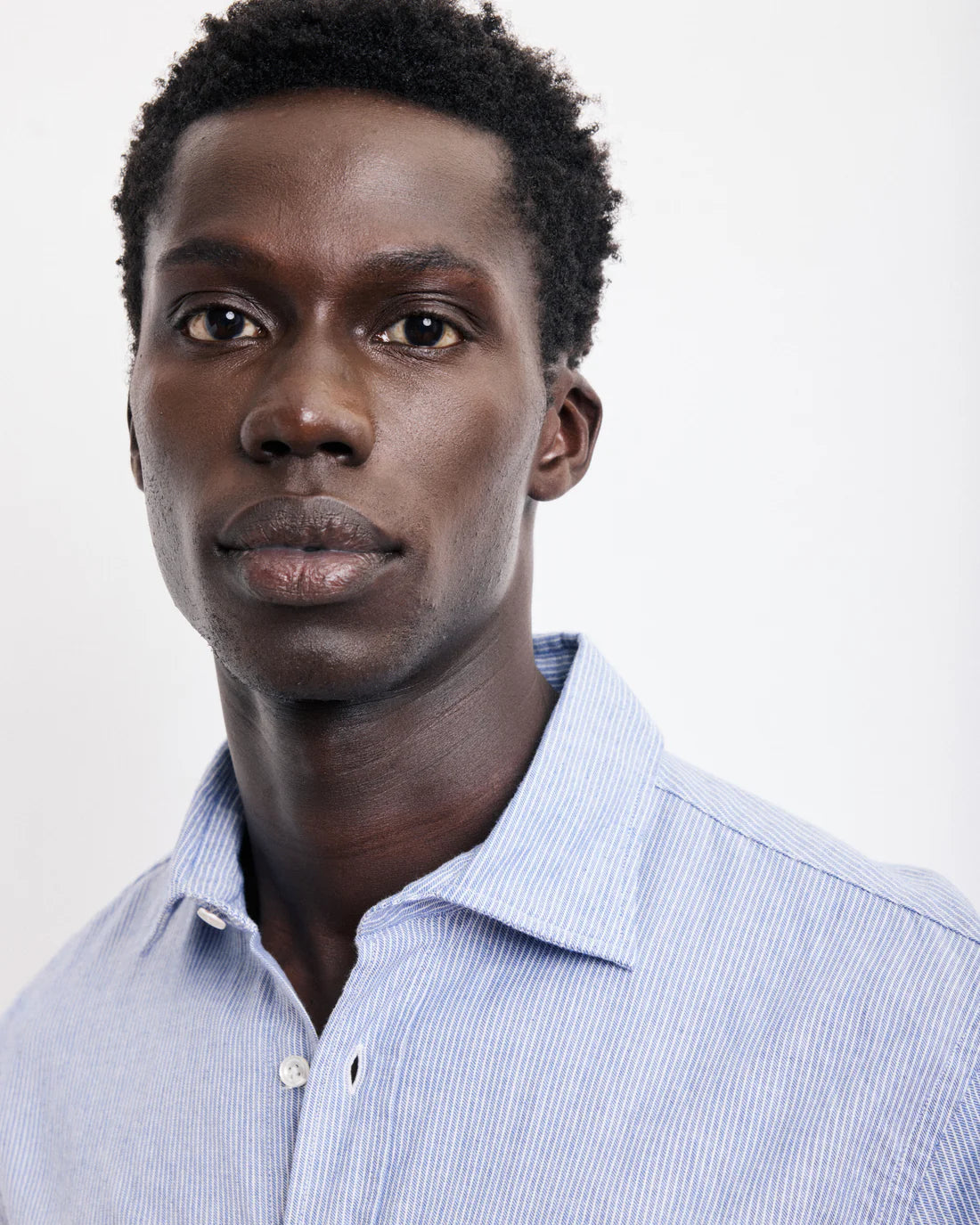 Hartford Paul Cotton Flannel Pinstripe Shirt