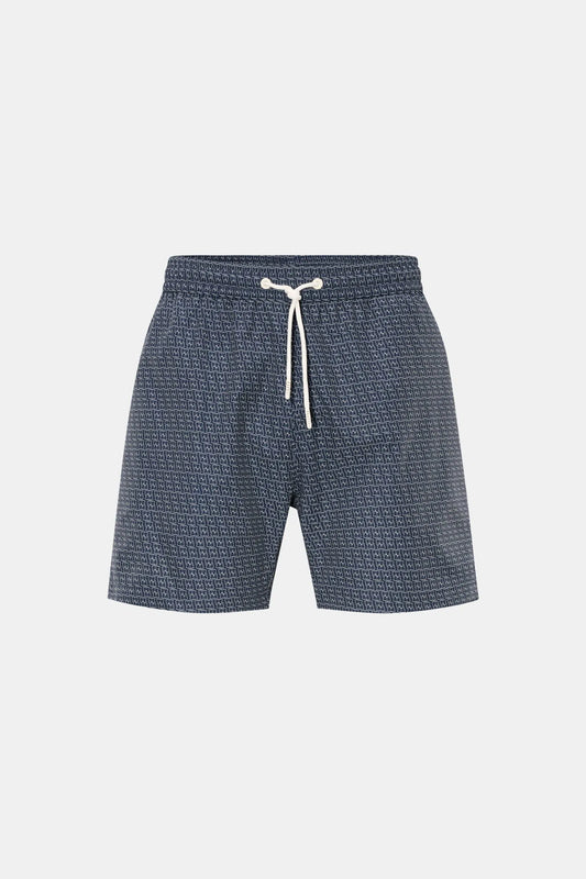 A Trip In A Bag Hanson Swim Shorts