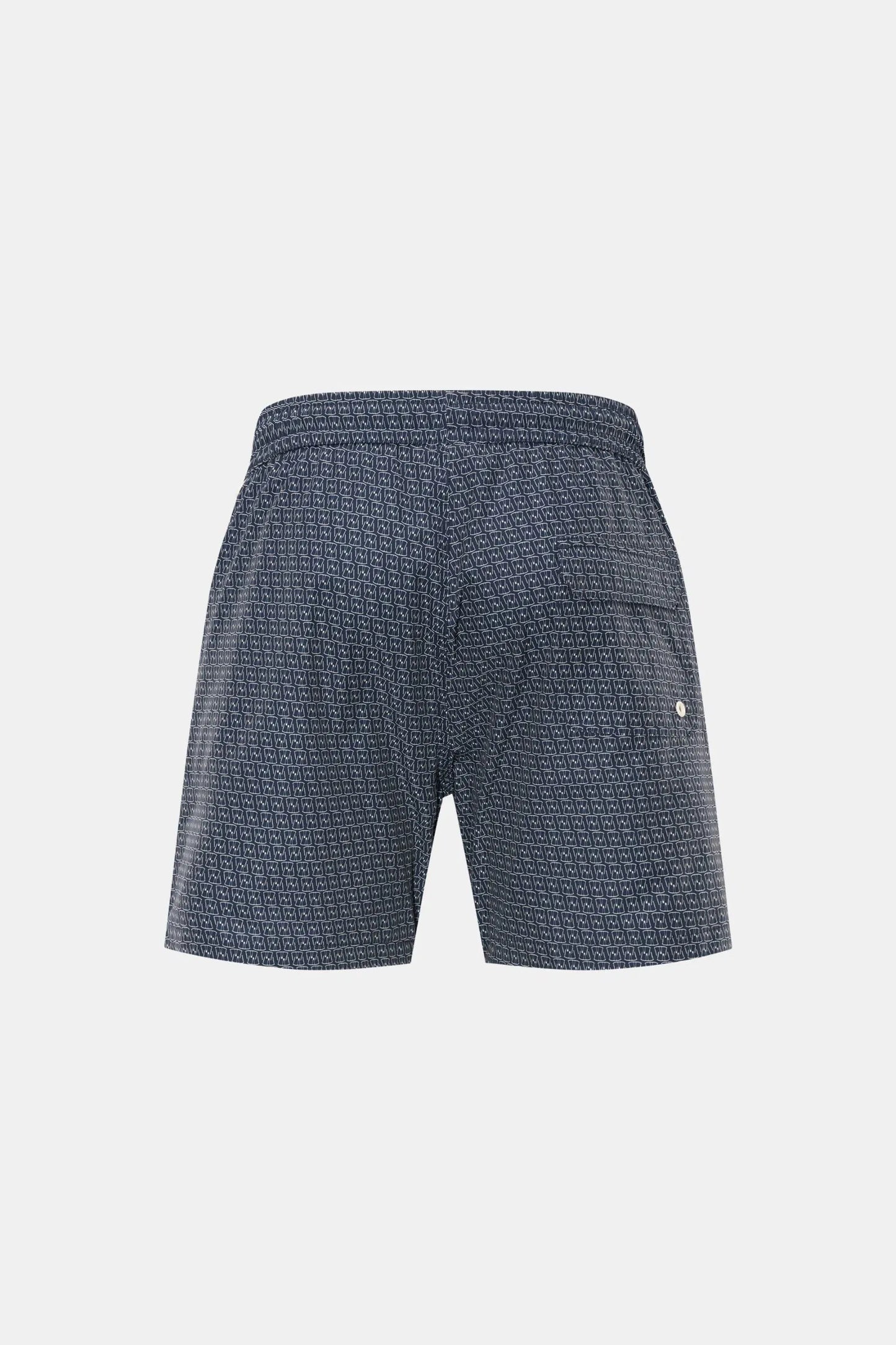 A Trip In A Bag Hanson Swim Shorts